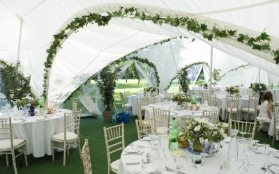 Foliage around the arches looks great