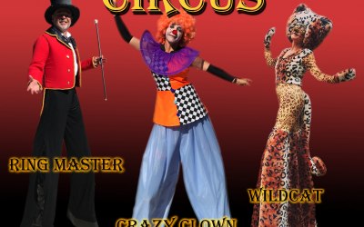 Circus