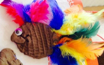 The Creation Station Leominster, Ludlow, Presteigne, Bromyard & Hay-on-Wye