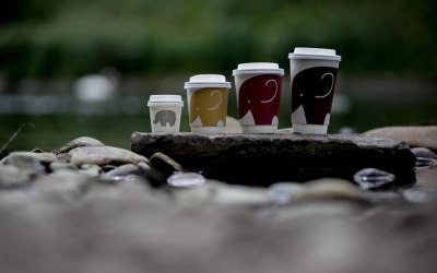 The Thirsty Elephant Coffee Company
