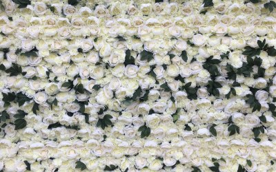 Wall Flower Essex