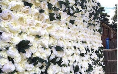 Wall Flower Essex