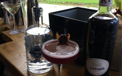 Mobile gin specialists in Chester, Cheshire, Manchester