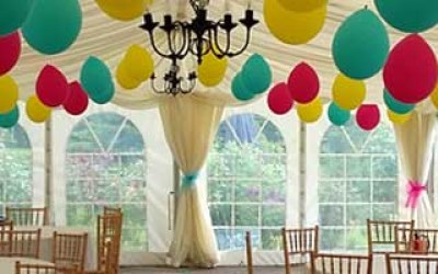 Event and Party Essentials