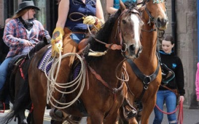 Saddle Up Ranch