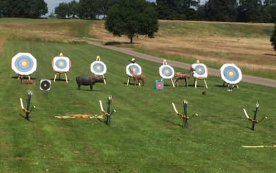 Joe's Bows