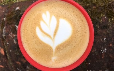 Pickle-O Coffee Co.