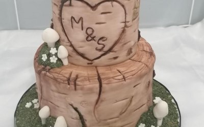 Small 2tier wedding cake