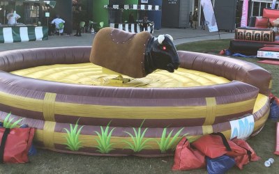 Rodeo Bull