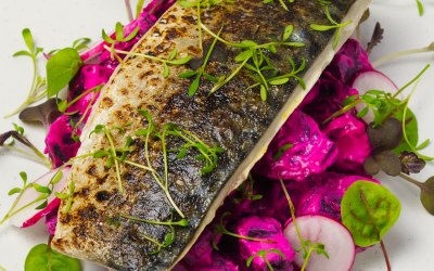 Seared mackerel with beetroot and horseradish salad salad