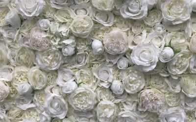 Classic Ivory