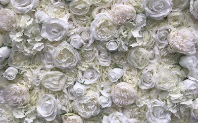 Classic Ivory