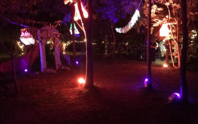 Camping Wedding Lighting