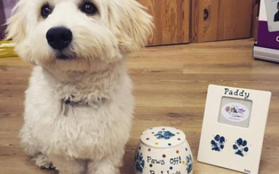 Pet Prints & Gifts