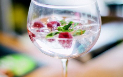 Craft Distilled Gins