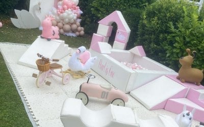swan lake large luxe package 