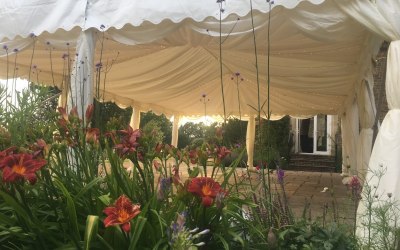 Dressed canopy with fairy lights