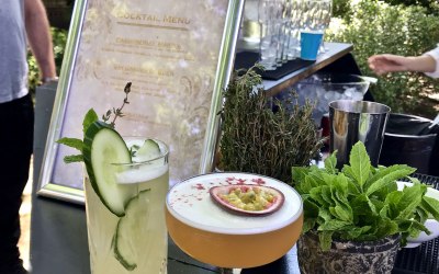 Cocktail Chemistry 6
