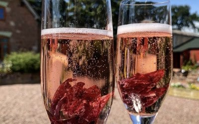 Prosecco & Hibiscus Flowers