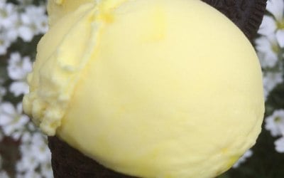 All Hand Made Italian Style Ice Cream