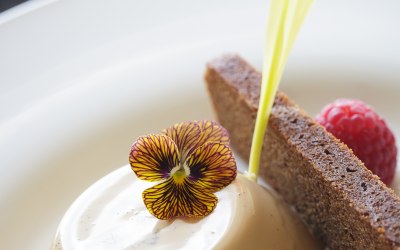 Vanilla Panna Cotta and Ginger Bread