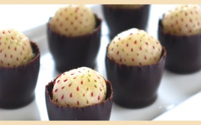 dessert canapés