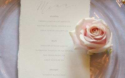 Blush & Gold Charger Plates