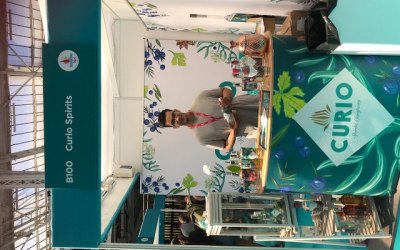 Brand event for Curio Gin