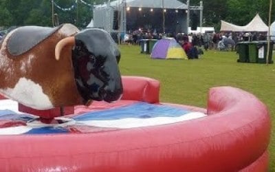 Rodeo bull hire 