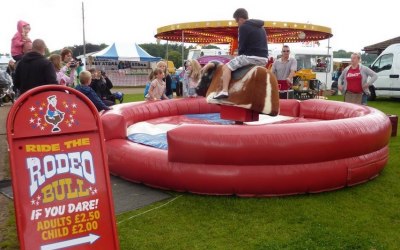 Rodeo bull hire Norfolk