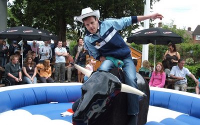 RODEO BULL HIRE