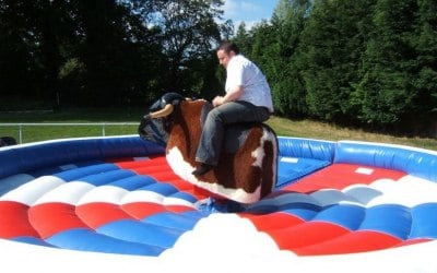 Rodeo bull hire