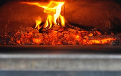 Pizzarova Wood fired 