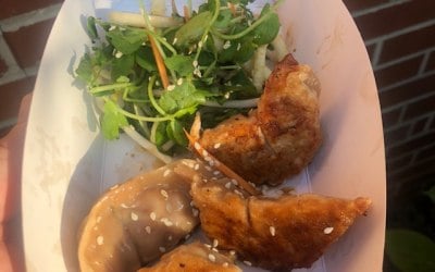 smokey chicken and leek gyoza