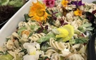 Tzatziki Pasta