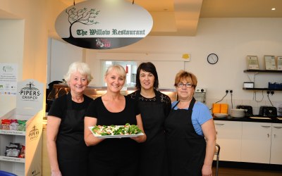 Meet the Team