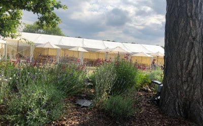 Wedding marquee hire