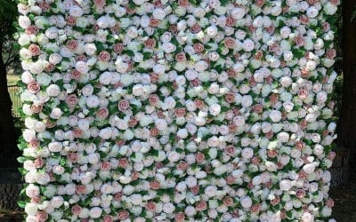 Beautiful Dusky Rose Flower Wall