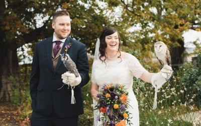 Wild Weddings