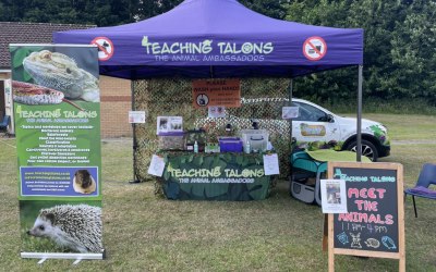 Outdoor events