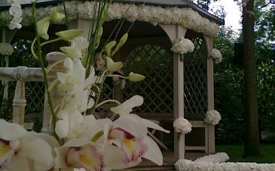 House wedding 