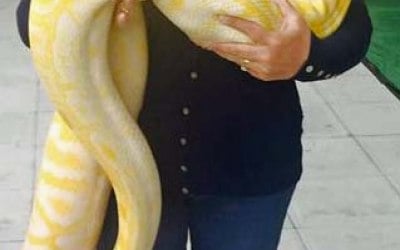 Exotic Pet Parties 8