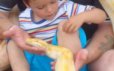 Exotic Pet Parties 1