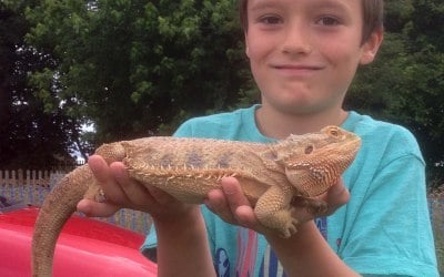 Exotic Pet Parties 6