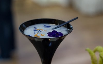 Our signature cocktail made from the soursop fruit.