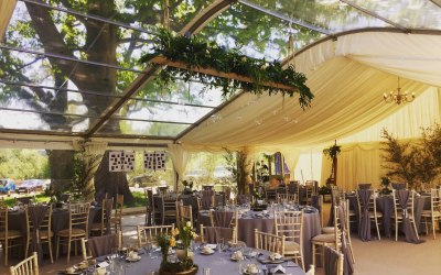 Ivory Linings with Clear roof sections