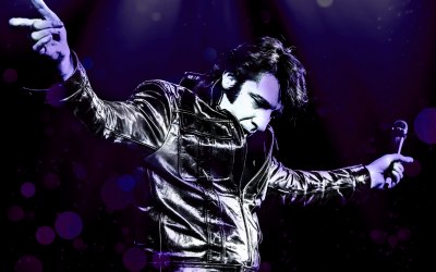 Andys Elvis Tribute