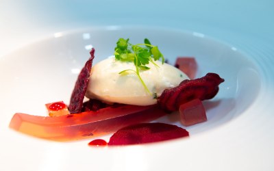 Textures of beetroot & goats curd mousse