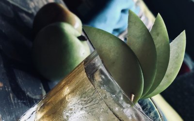 AppleJack Cocktail