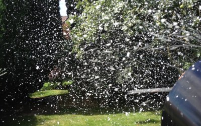 Snowing for your special day.